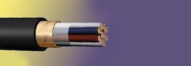 МКЭШВнг(А) 10х2х1