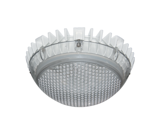 Светильник светодиодный пылевлагозащищенный для ЖКХ ДБО84-10-022 Coral 665 | 1084010022 | АСТЗ